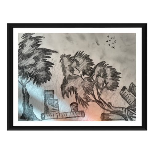 Sketch II